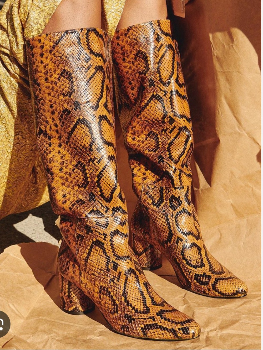 Freda Salvador Ozo orange Snake-Print Knee-High Boots 6.5